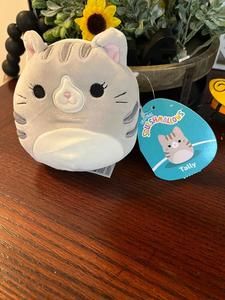 Tally the tabby cat Squishmallow 5”